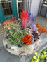 Terrarium Workshop Edmonton – Create Your Own Mini Garden