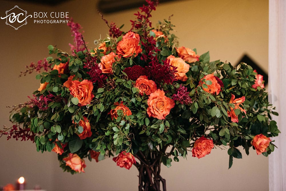 orange rose