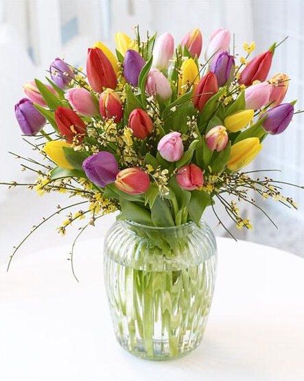 large tulips